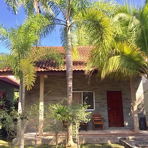Coconut 2* Nai Yang